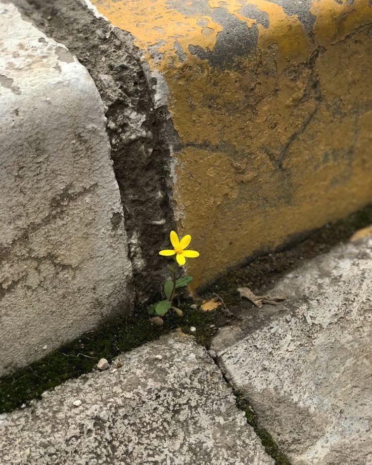 Good morning 🌞 world 🌎. As the day breaks, may you break through difficulties and begin a new chapter of unexpected blessings and growth in wealth.