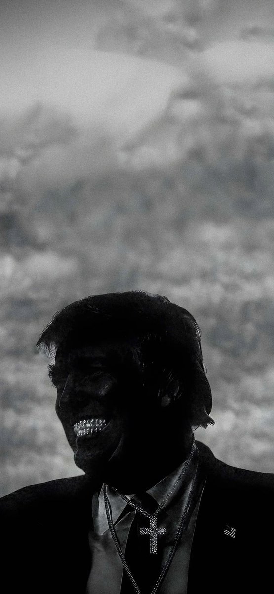 AliTouchaee tweet media