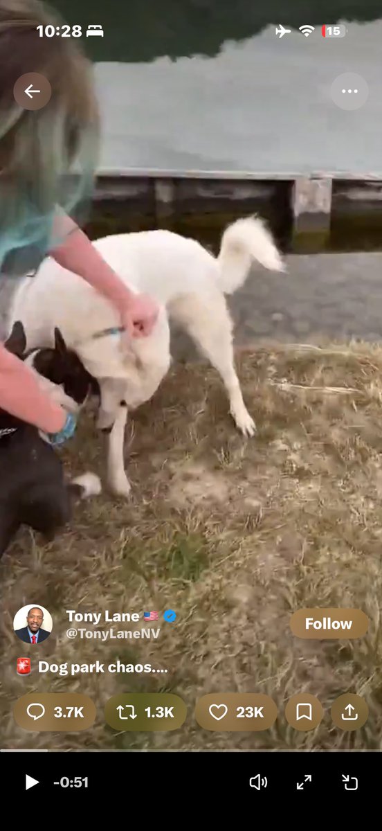 The Darkpulse Files  𝕏 tweet media