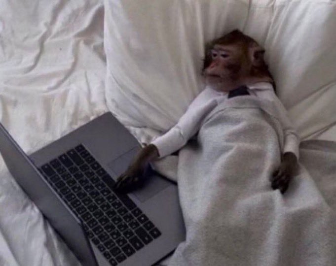 Weekends are for studying 

Me: next episode