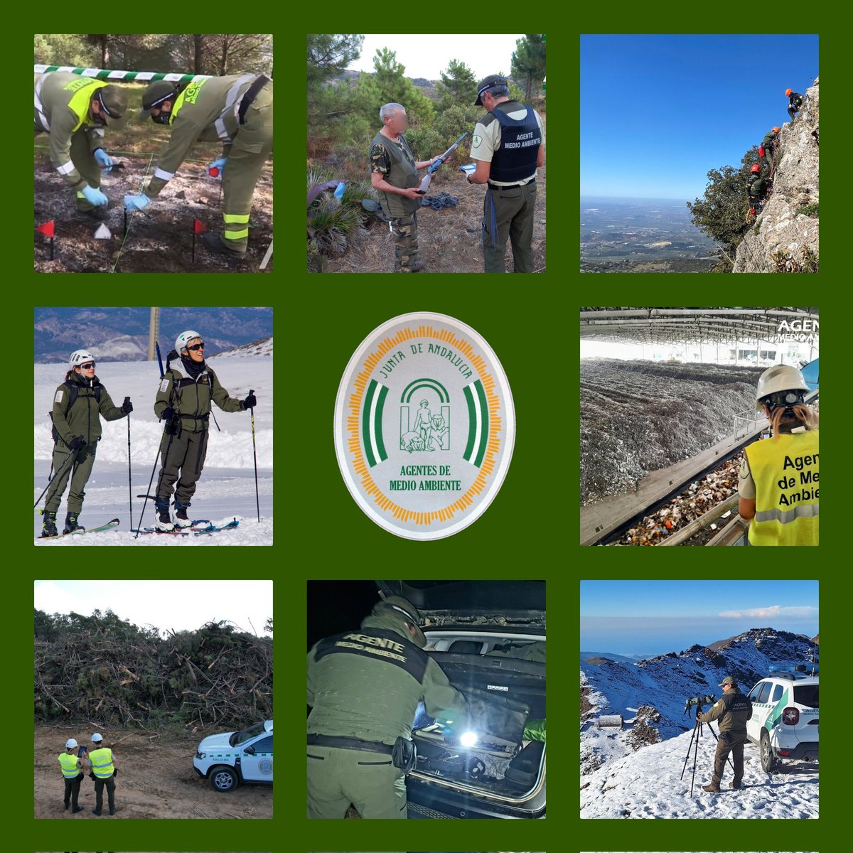 Asociación🇪🇦Agentes Medioambientales tweet media