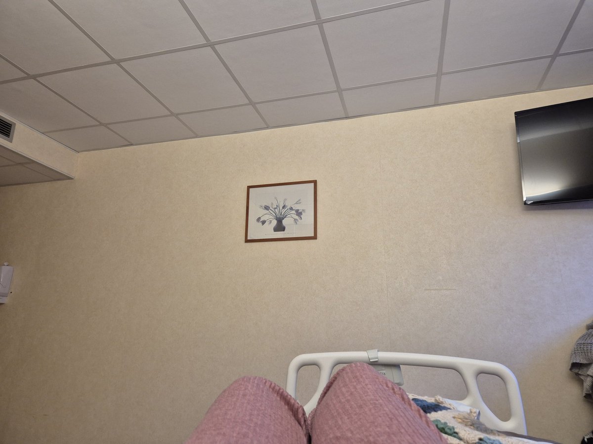 La Fée Orange tweet media