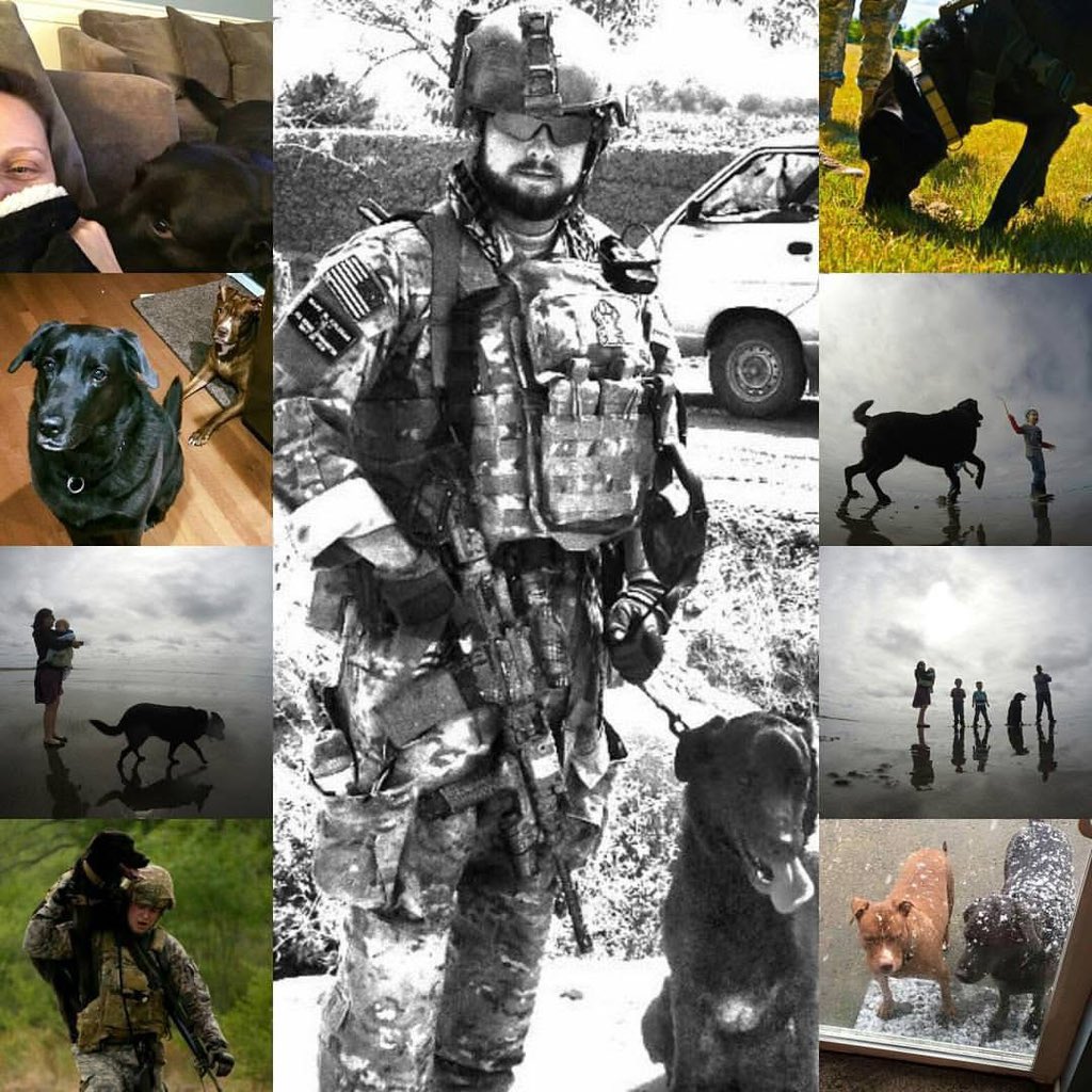 I’m looking to do an interview on a Rumble channel to help get my story out. It is focused on overcoming early childhood trauma and becoming a successful bomb dog handler  deploying to Afghanistan to support special operations, the challenges we faced and overcame together along