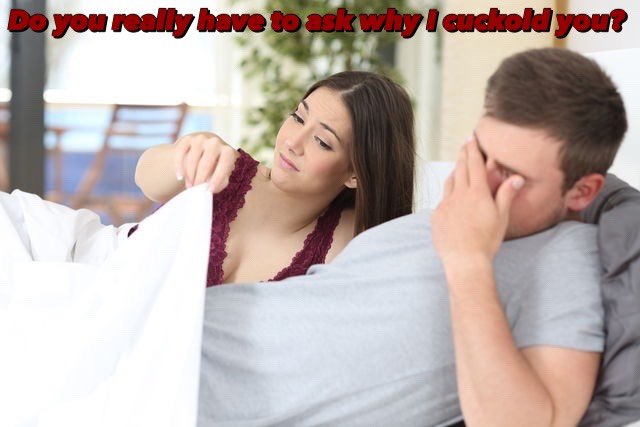 SissyLifeX tweet media