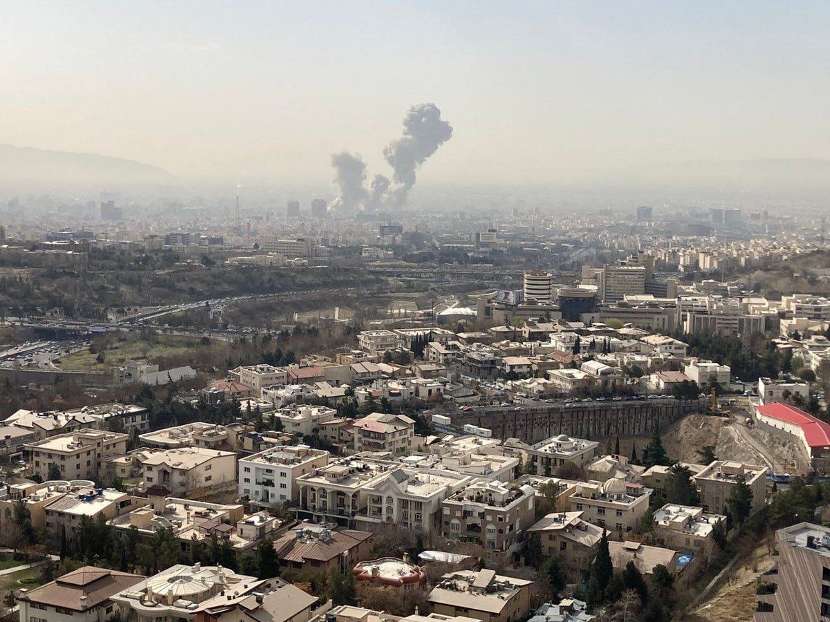 Amin Pouria ممد پوری tweet media