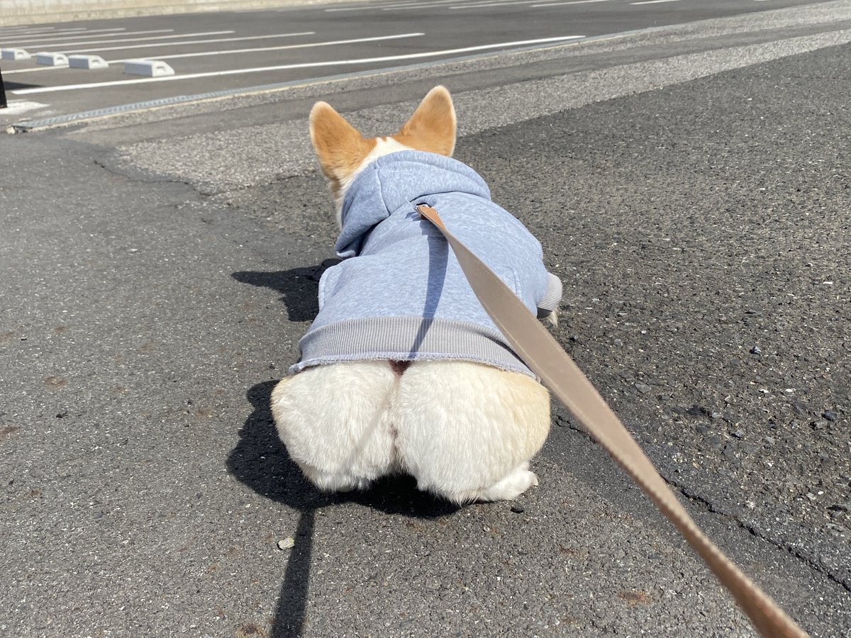 あっち行くって聞かない。このちぎりパンめ
