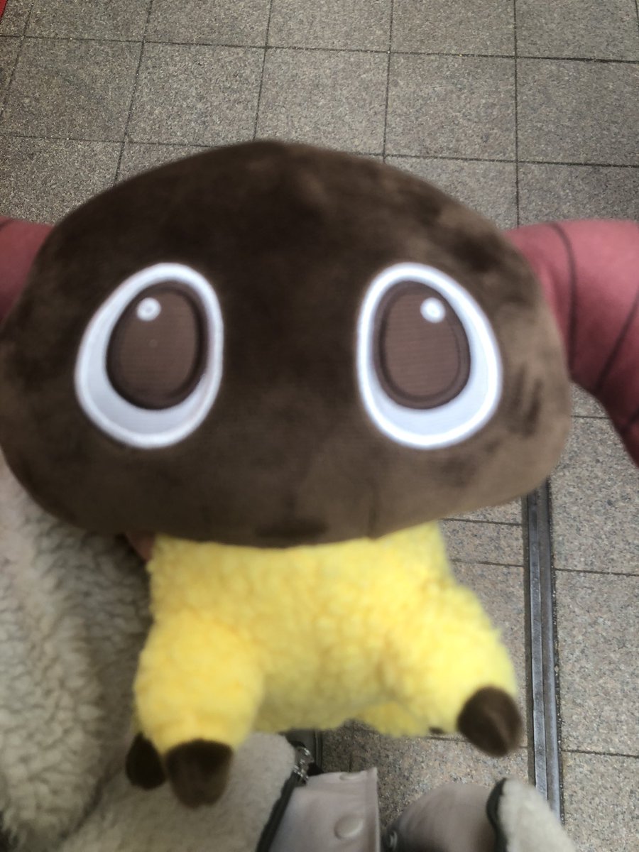 74hamusuke_Klee's tweet photo. 捕獲 https://t.co/zb5FVJBQ42