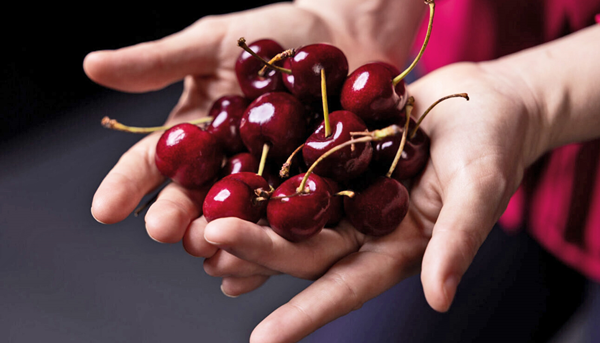 LOSEV_EN tweet media