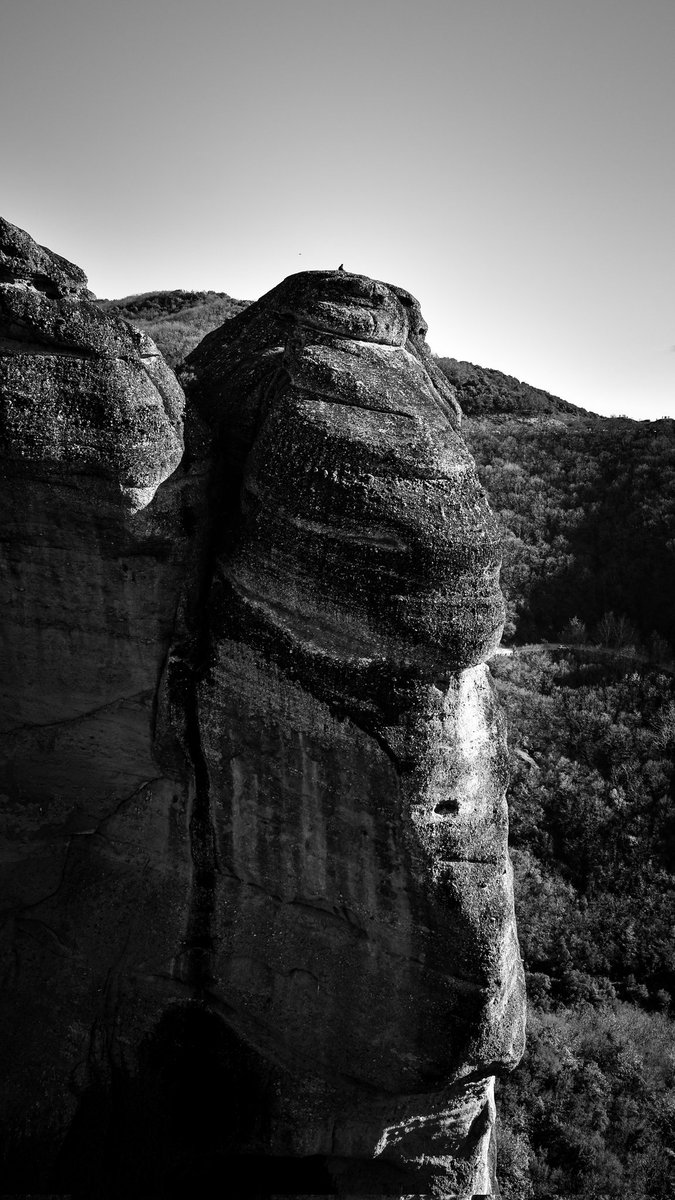 Elias_t 💎 tweet media