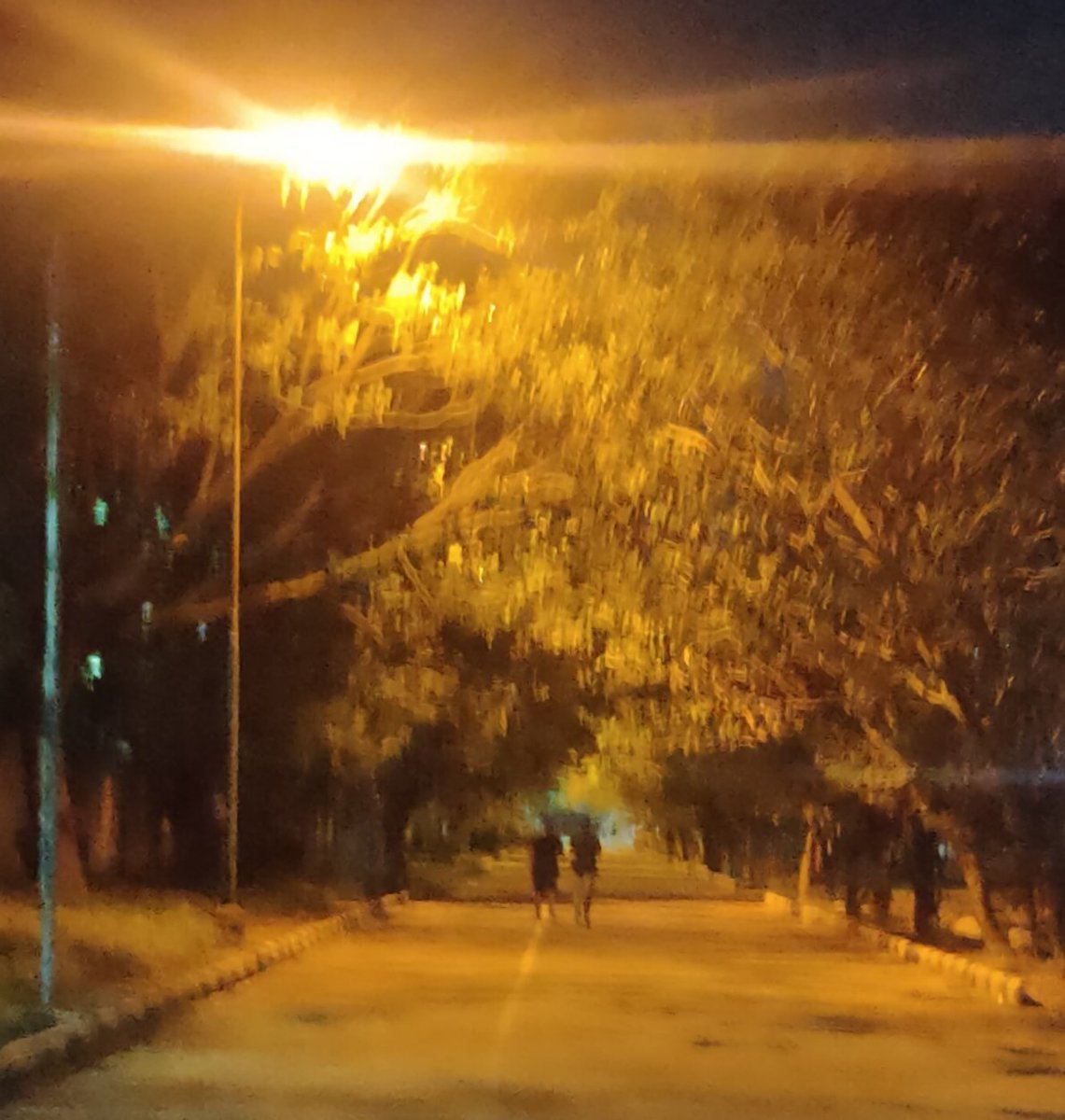 <a href="/BinanceForIN/">Binance India</a> <a href="/crypto_maniac_9/">Bharat</a>
<a href="/sav8io5/">Savio</a>
<a href="/huma16192/">huma</a>

#IndiaTurnsYellow  💛💛💛
#Binance 💛💛💛