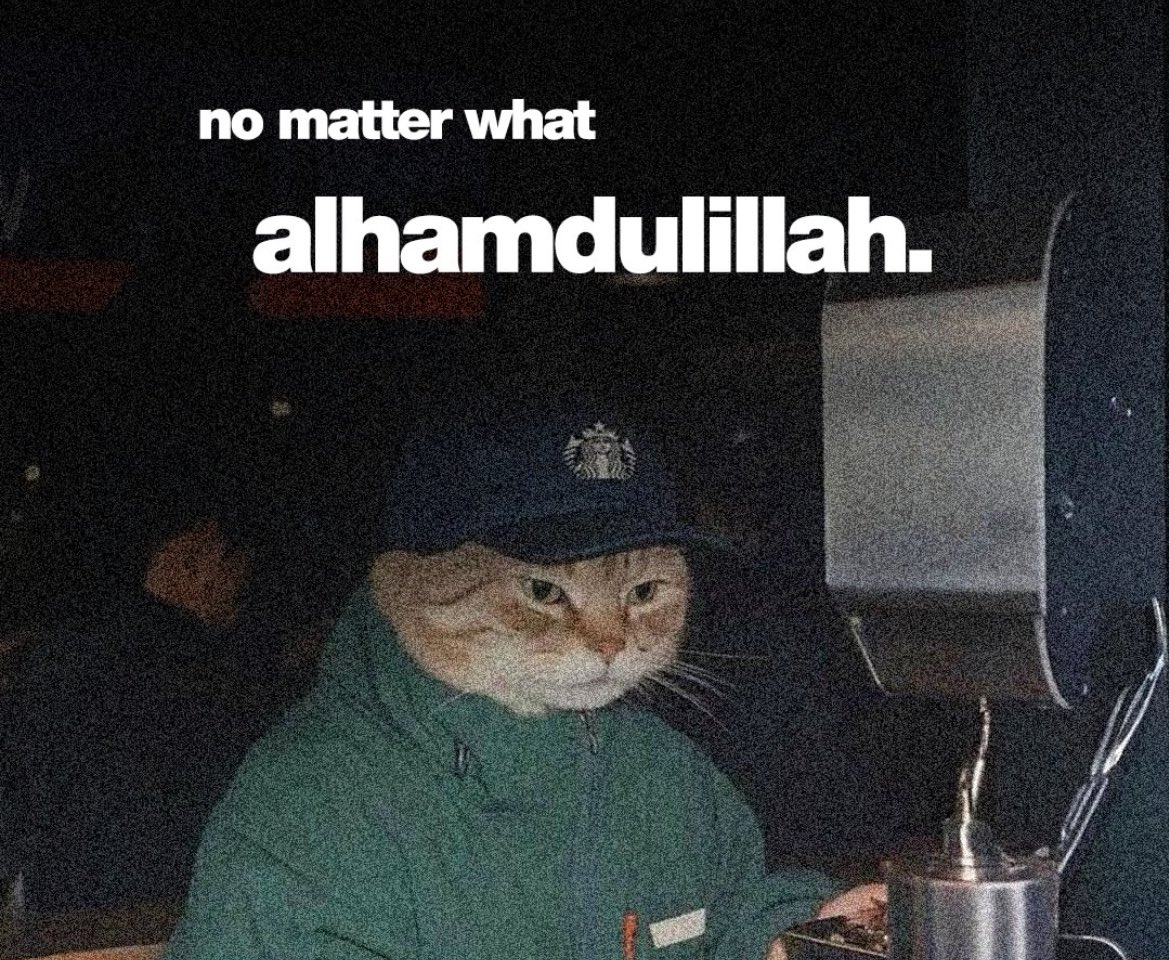 CRYPT AMEERAH 🧕 tweet media