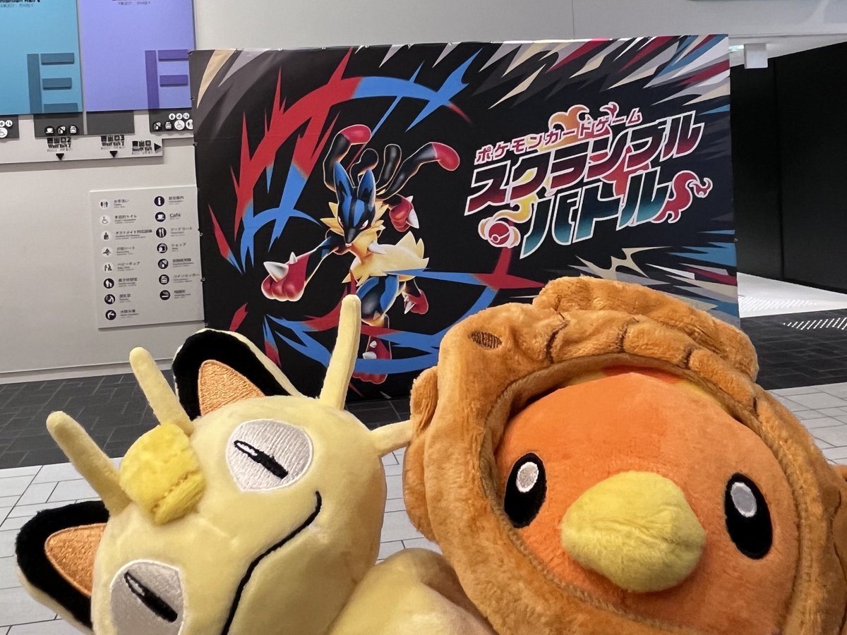 アチャもと tweet media