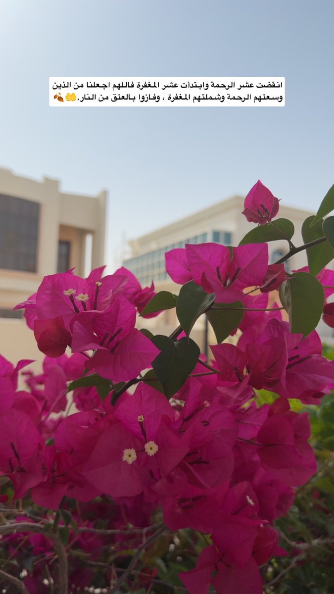 انقضت عشر الرحمة وابتدأت عشر المغفرة فاللهم اجعلنا من الذين وسعتهم الرحمة وشملتهم المغفرة ، وفازوا بالعتق من النار.