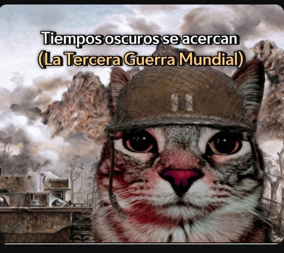 MEMES DE CIENCIAS SOCIALES tweet media