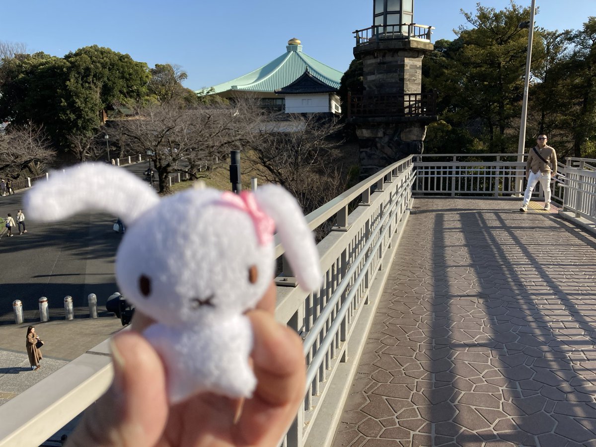 gansoesueichi's tweet photo. 武道館見たさに久々に来た https://t.co/qimUuVQoW4
