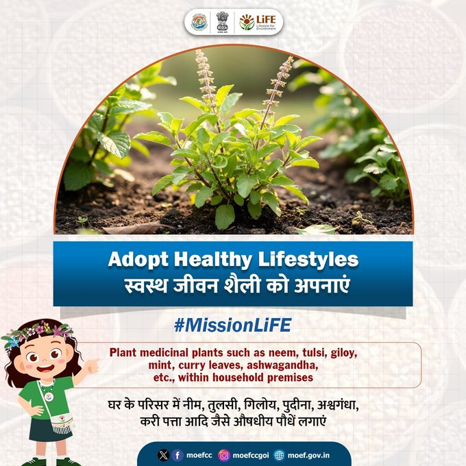 blwvaranasi's tweet image. Adopt Healthy Lifestyles with #MissionLiFE and power a sustainable tomorrow by following these practices - Plant medicinal plants such as neem, tulsi, giloy, mint, curry leaves, ashwagandha, etc, within household premises. #ProPlanetPeople @moefcc @RailMinIndia @gmblw