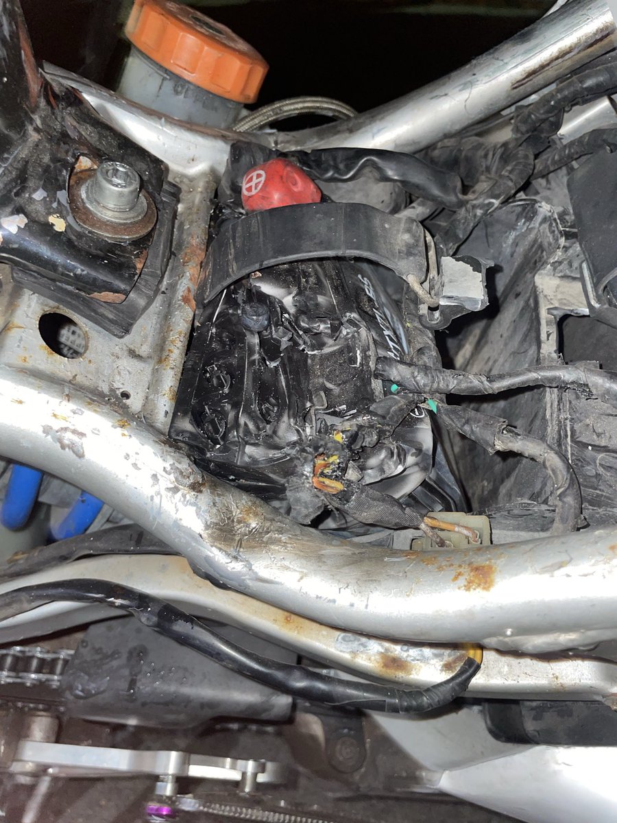 ユウリ tweet media