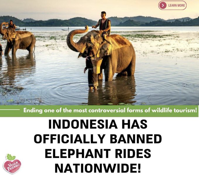 Well done Indonesia 🇮🇩.