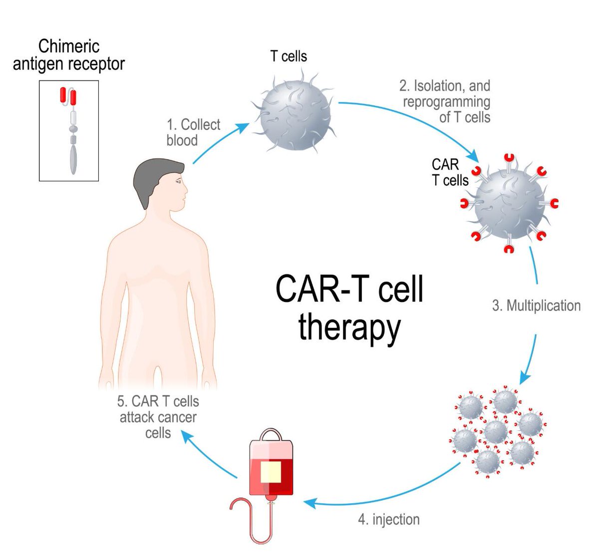 Creative Biolabs tweet media