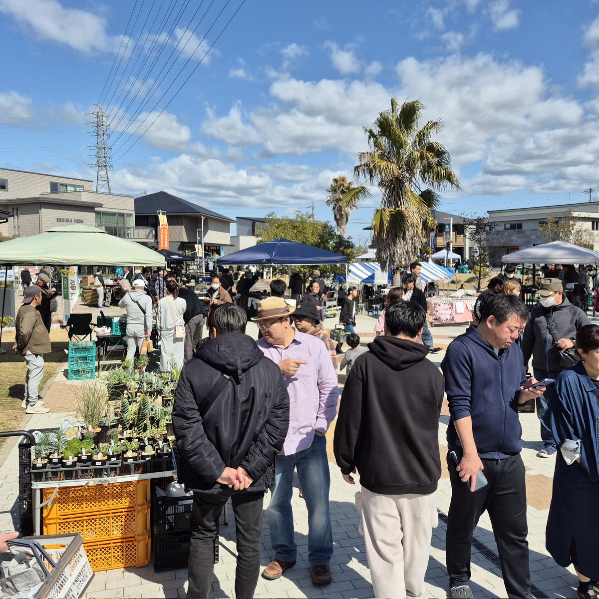 ynakano12's tweet photo. 地元にある「とよたハウジングガーデン」で開催された珍奇植物フェアへ行って来ました🚙
お世話になっているオズマンさんからウィリンキーOMGスポアを連れて帰って来ました🎶
#珍奇植物フェア #OZMAN #オズマン #ビカクシダ #ウィリンキー https://t.co/ClmjQvqHt3