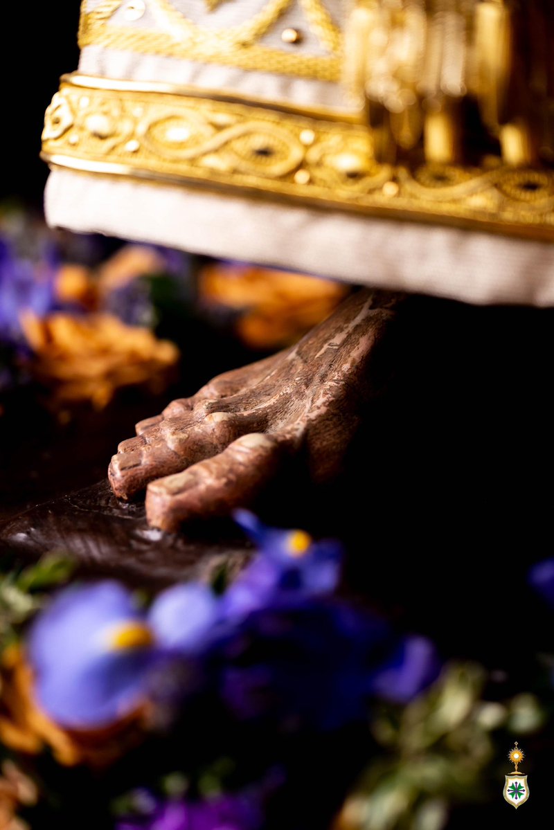 ⚪️ BESAPIÉS 

⛪️ … amanece, y se abrirán las puertas del Templo, y con ellas, las del alma; Soberana…

✝️ Nuestro Padre Jesús en Su Soberano Poder se hace presente en este Solemne Besapiés en la devoción de los hermanos de San Gonzalo.

✨ Así luce el Señor:

▪️Lleva túnica