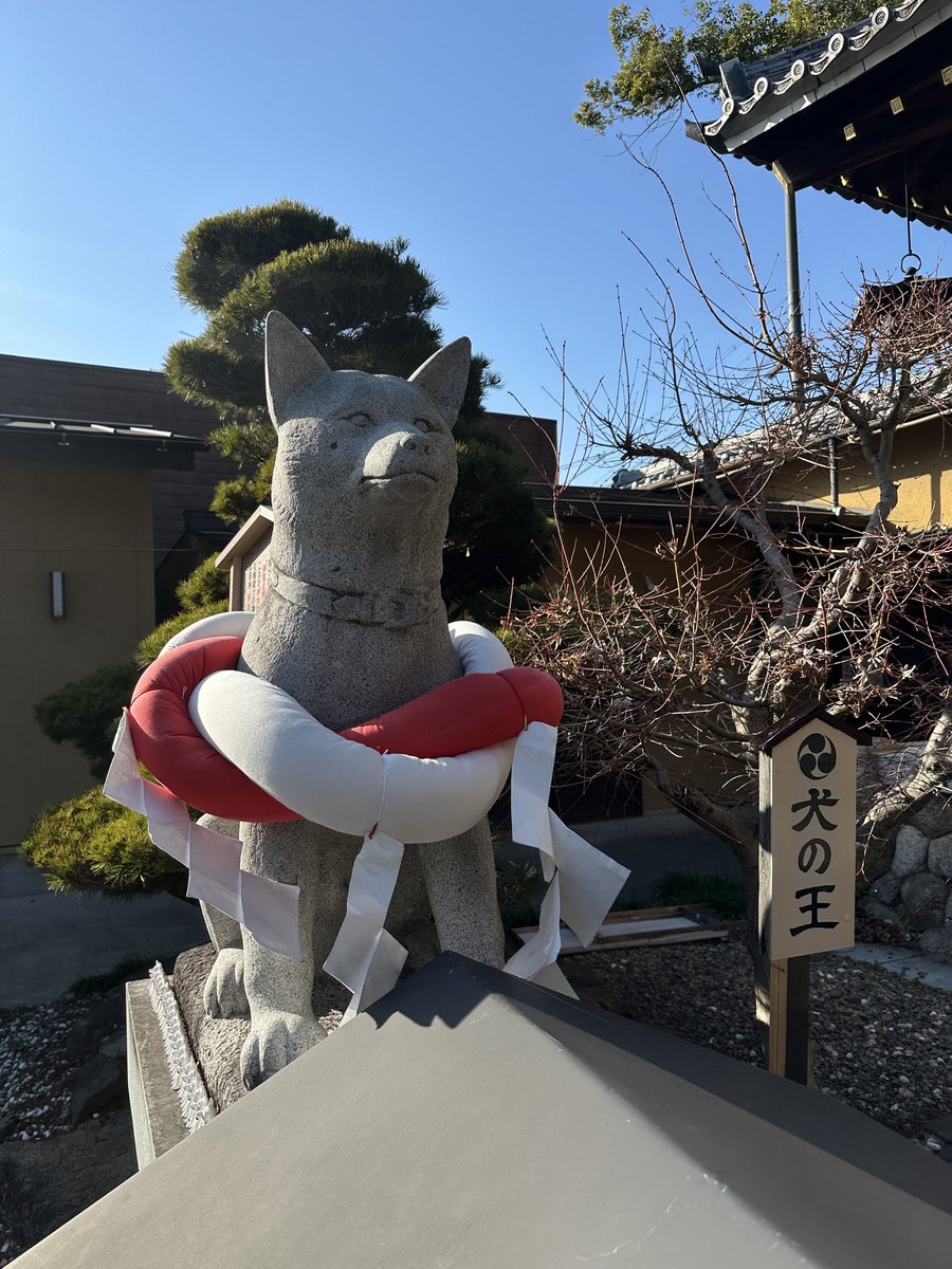 莫莫 | 疼痛分享會籌畫中 tweet media