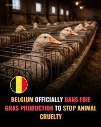 Green Planet tweet media