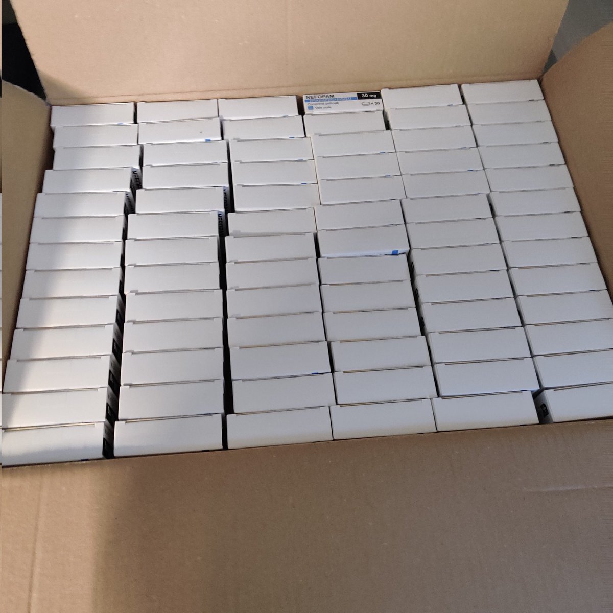 océAlaB tweet media