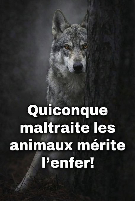 Green Planet tweet media