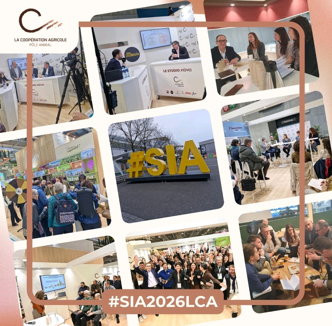 La Coopération Agricole Pôle Animal tweet media