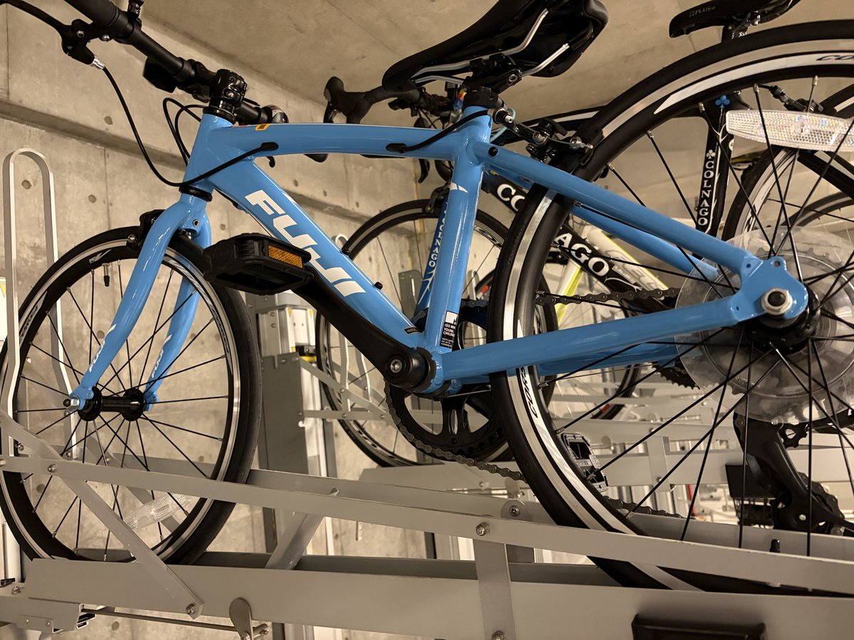 ishigaki tweet media