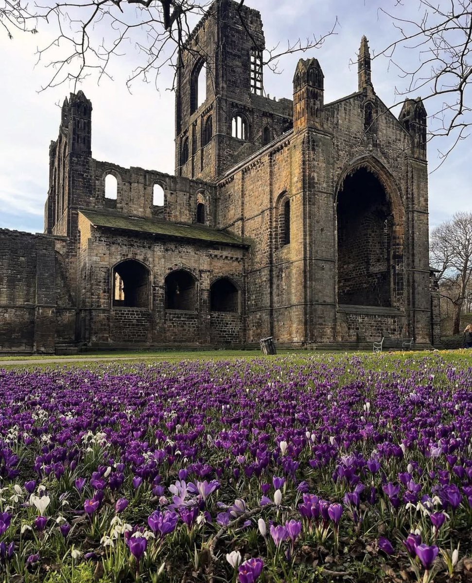 Sicilianomatt tweet media