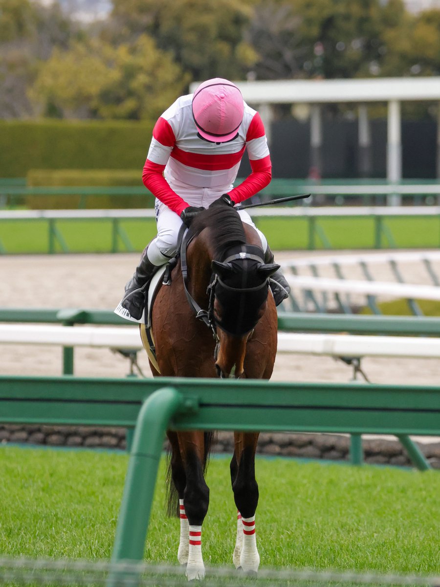 ちくわ (@joowy) / Posts / X