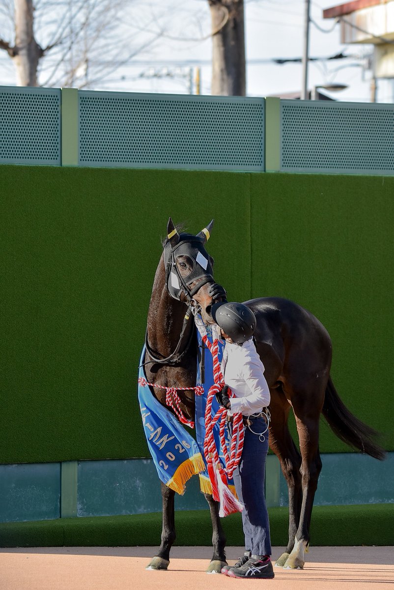 Meg∞🏇📷️🎾🤫 (@M89oumasan) / Posts / X