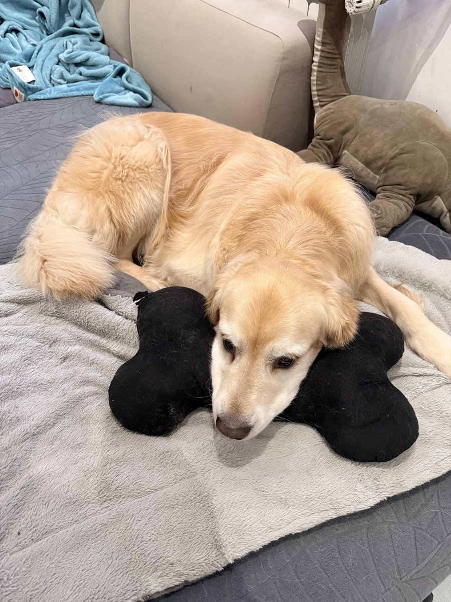 Maxildan tweet media