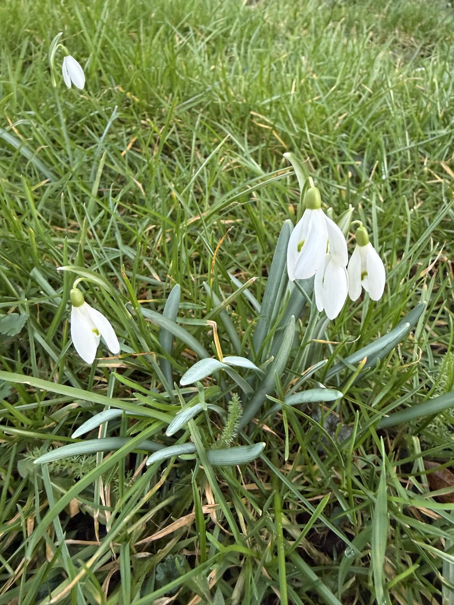 Goedemorgen,
Bedankt voor de felicitaties 🎉 
Wens jullie een mooie zaterdag.