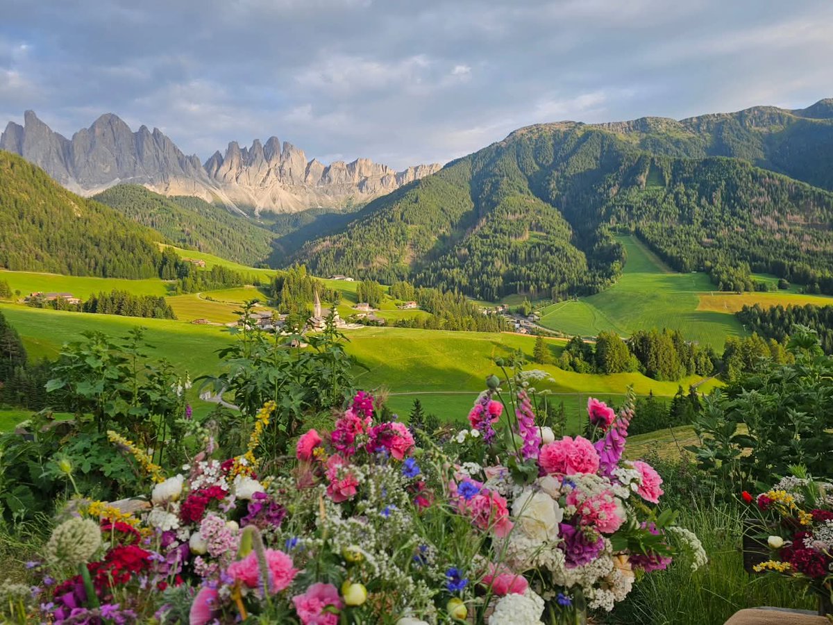 🌐 J.S. Ventures tweet media