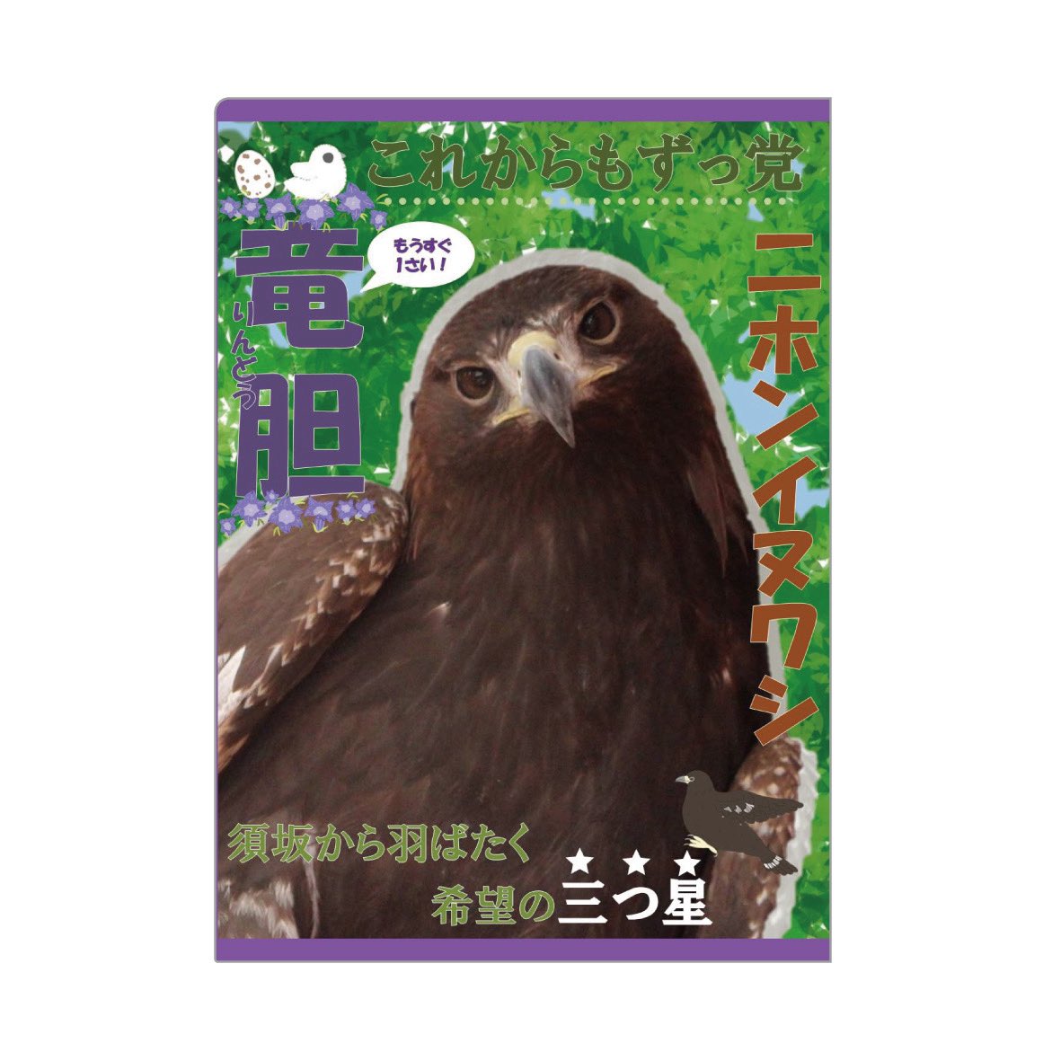 選挙ポスターをクリアファイルにしちゃいました〜✨ 受注生産のためお