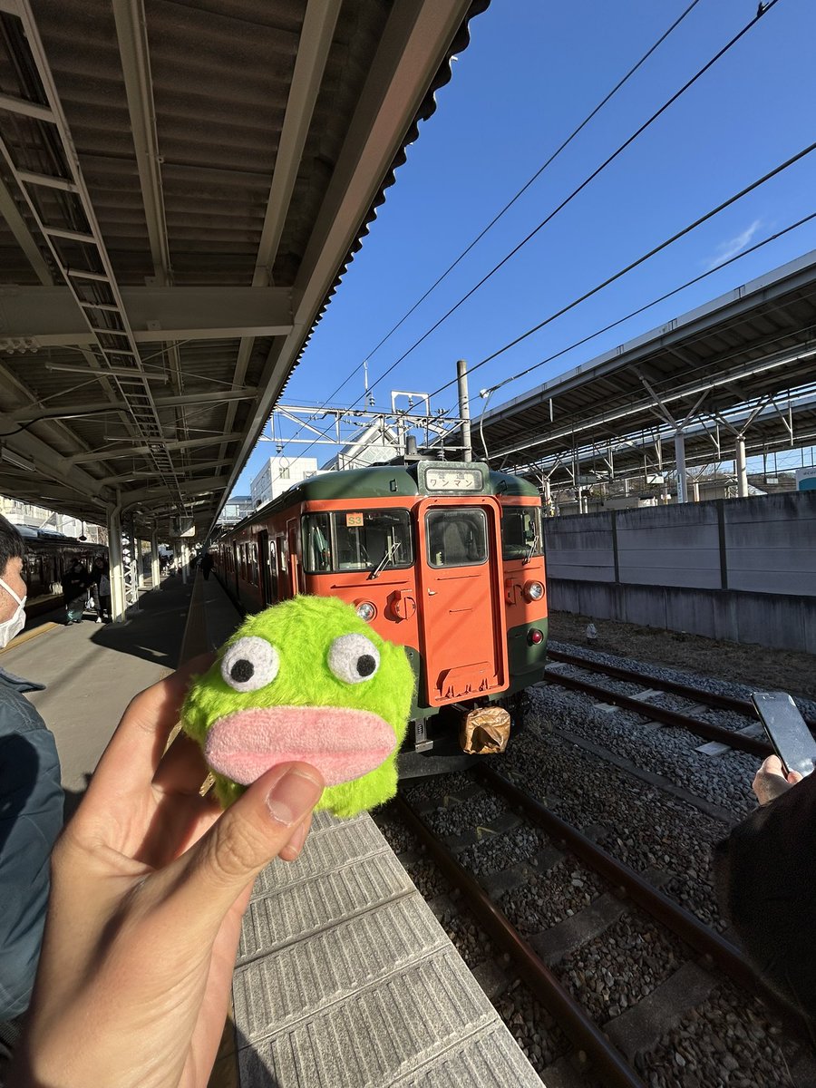 つくねこ (@tukutukuneko294) / Posts / X