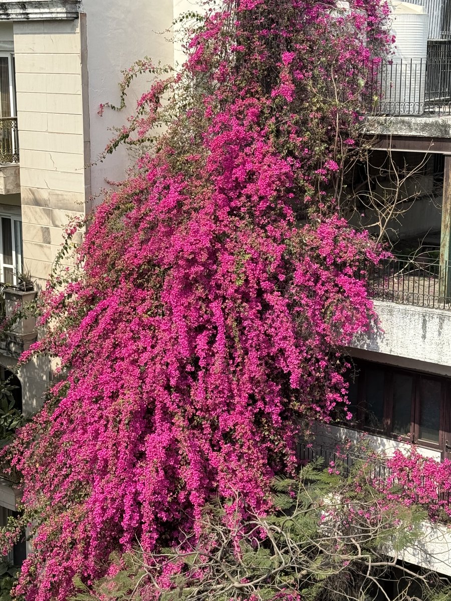 Laali merey laalan ki..
Kabir 

लाली मेरे लालन की, जित देखूं तित लाल। लाली देखन मैं चली, मैं भी हो गई लाल।