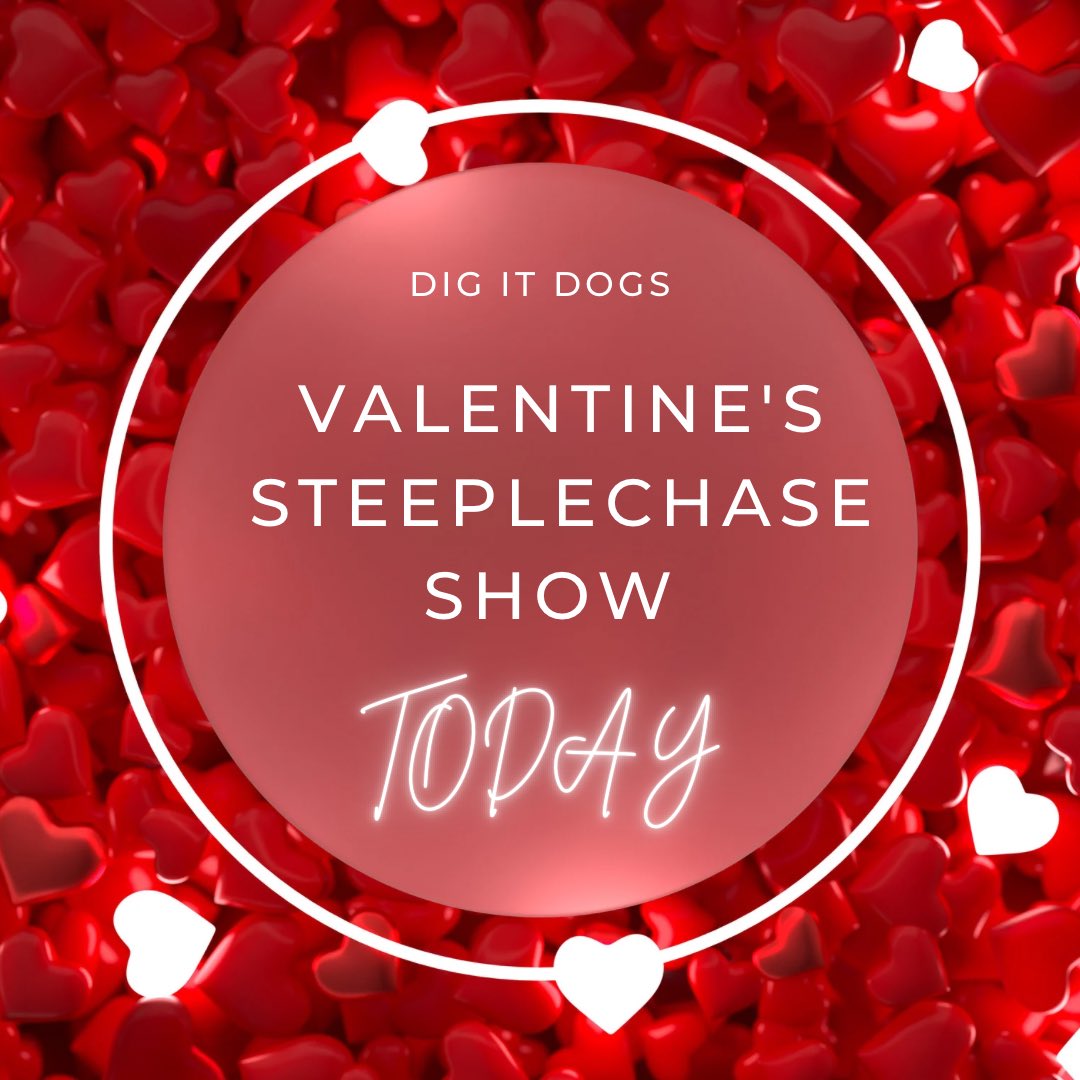 DigItDogs's tweet photo. 💝 🧡 🥰 ♥️ 💓 🩵❣️💜💞🩶💗🤍💓🤎💖🩷❤️💟💚💖💙💘💜💞❤️💓🧡 https://t.co/MeZSrgpfcH