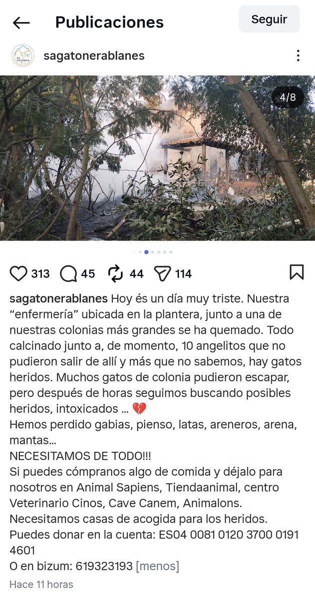 ChimmyKai's tweet photo. No suelo hacer posts de estos, pero a ver si les podemos echar una mano entre todos

Una de las protectoras de gatitos cerca de donde vivo ha sufrido un incendio bastante grande y han perdido mucho 💔

Están buscando casas de acogida para gatos heridos, donaciones y materiales https://t.co/j2KOiaNUaa