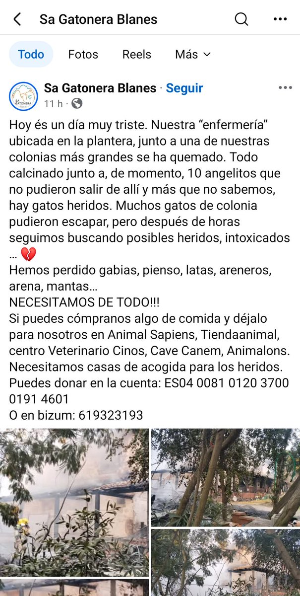No suelo hacer posts de estos, pero a ver si les podemos echar una mano entre todos

Una de las protectoras de gatitos cerca de donde vivo ha sufrido un incendio bastante grande y han perdido mucho 💔

Están buscando casas de acogida para gatos heridos, donaciones y materiales
