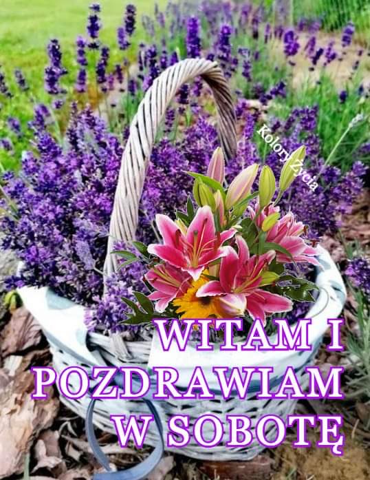 Dzień dobry 😀Pięknej słonecznej soboty życzę wszystkim 😀☀️☕️🌷