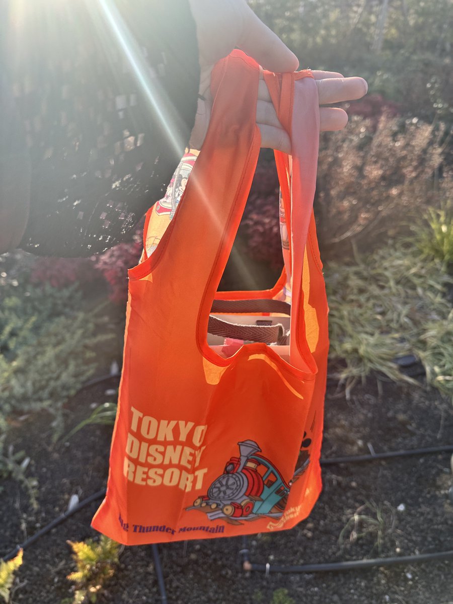 𝙮𝙪𝙪 🪷 tweet media