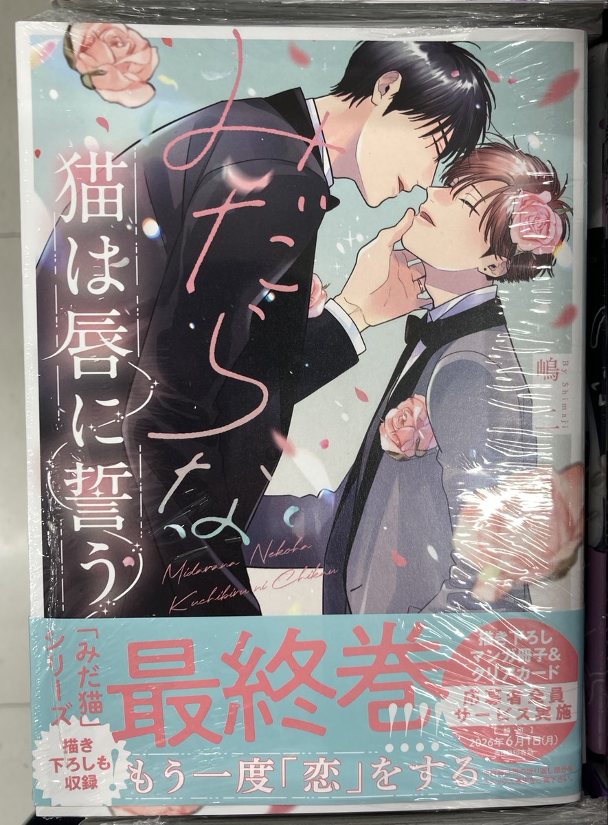 💙書籍入荷情報💙】 #嶋二 先生(@shimajil) 『＃みだらな猫は唇に誓う