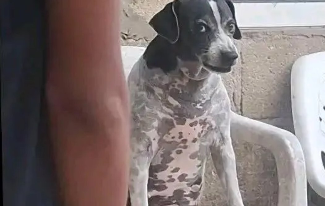 This better be some joke, cause what's this payout?