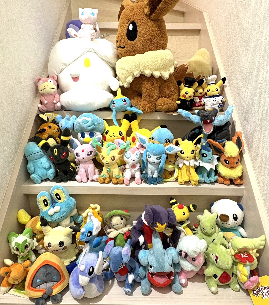 我が家のポケモンぬいぐるみ何個あるのかな？って息子とならべて数えて