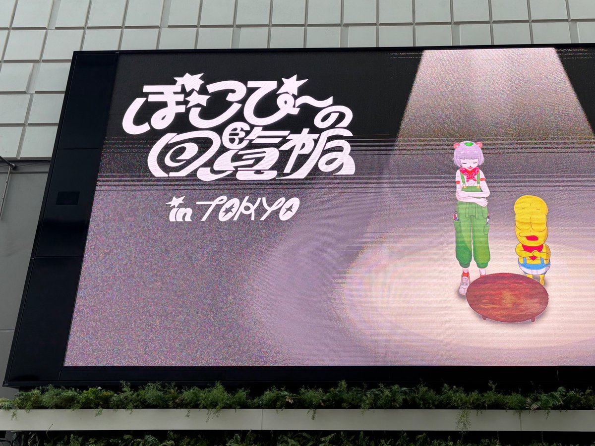 狸豆！
