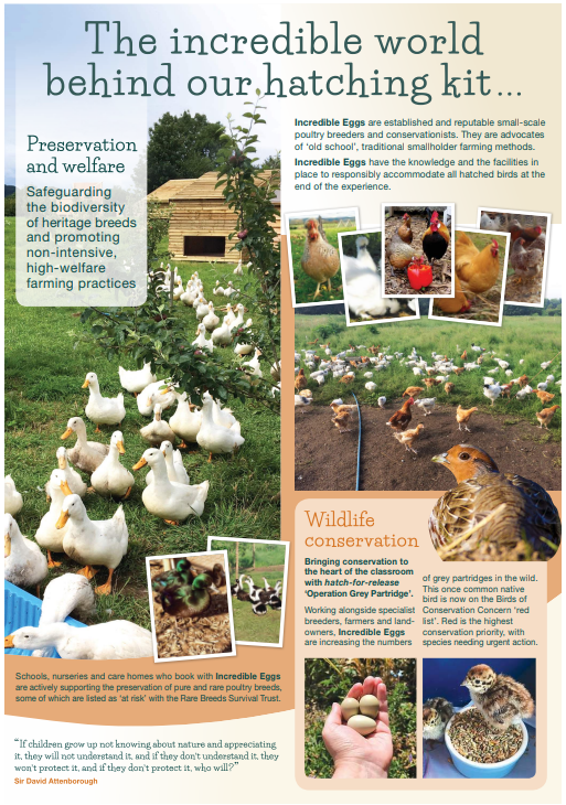 Hazel Leys Academy tweet media